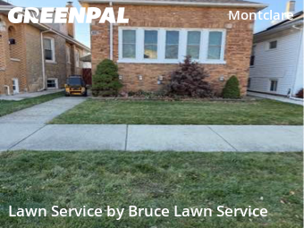 Grass Cutting nearby Chicago, IL, 