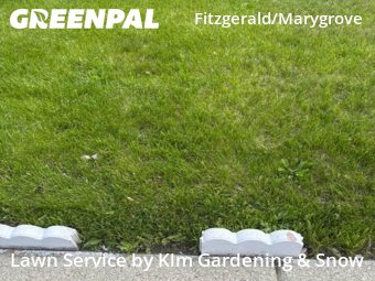 Yard Mowing nearby Detroit, MI, 