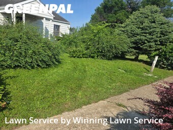 Lawn Care nearby East St. Louis, MO, 