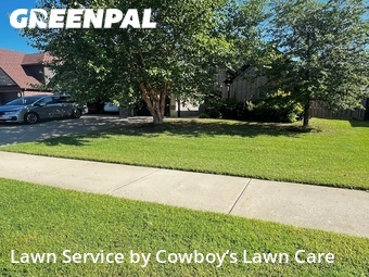 Lawn mowed in Bentonville, 72713