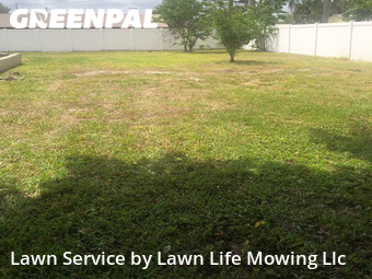 Grass Cutting nearby Palm Bay, FL, 