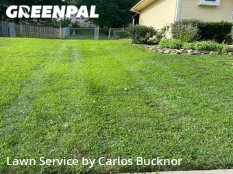 Lawn Mowing nearby Blue Springs, MO, 