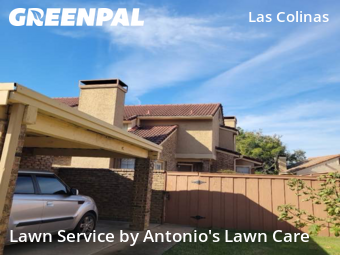 Lawn Servicein Irving,75038,Lawn Mow by Antonio's Lawn Care, work completed in Dec , 2025