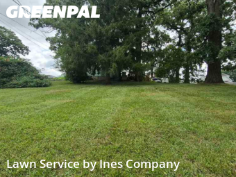 Yard Mowing in Oak Forest, 60452, Weed Trimming by Ines Company, work completed in Oct , 2025