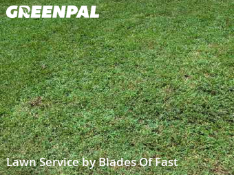 Yard Cutting nearby East Point, GA, 