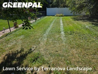 Turf Services in Hanover Park, 60133, Front Yard Mowing by Terranova Landscape, work completed in Nov , 2025