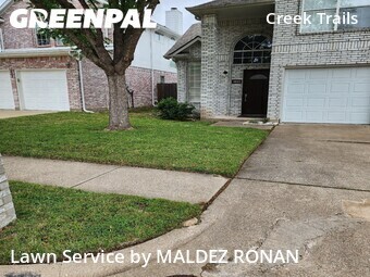 Grass Cut nearby Plano, TX, 