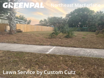 Modern Landscaping In Tampa,33607,Landscaping Maintenance by Custom Cutz, work completed in Nov , 2025