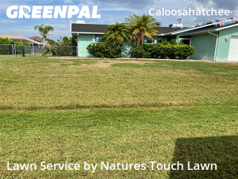 Lawn Cutting nearby Cape Coral, FL, 