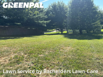 Yard Cutting nearby Shiloh, OH, 