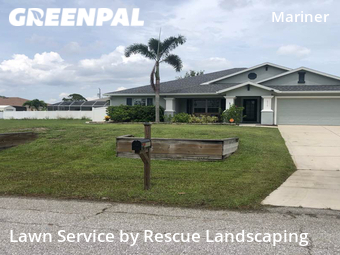 Grass Cut nearby Cape Coral, FL, 