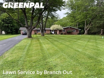 Lawn Mow nearby Elma Center, NY, 
