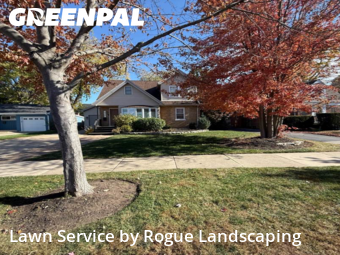 Grass Cutin Elmhurst,60126,Grass Cutting by Rogue Landscaping, work completed in Nov , 2025