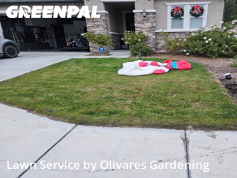 Landscaping In Santa Clarita,91350,Landscapers by Olivares Gardening , work completed in Jan , 2026