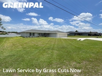 Lawn Mow nearby Belleview, FL, 