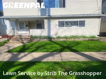 Yard Cuttingin Lakewood,44107,Lawn Cut by Strib The Grasshopper, work completed in Jul , 2026
