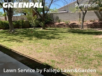 Lawn mowed in Las Vegas, 89135