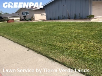 Yard Mowing nearby Westminster, CA, 