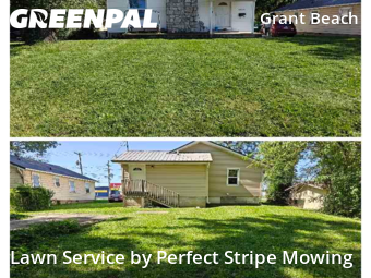 Lawn Mowing nearby Springfield , MO, 