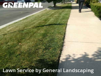 Grass Cut nearby Norridge, IL, 