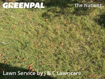 Yard Cutting nearby Nashville, TN, 