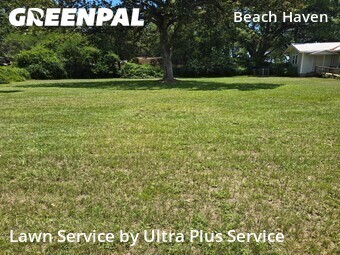 Grass Cut nearby Pensacola, FL, 