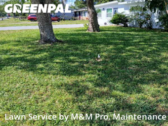 Lawn Mowing Service nearby Pinellas Park, FL, 