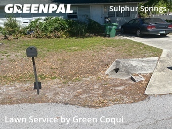 Grass Cutting nearby Tampa, FL, 