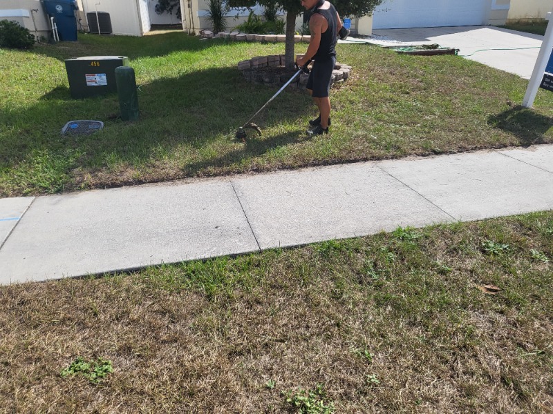 Jams Lawn Care Inc Lawn Care Services in Port Richey, FL