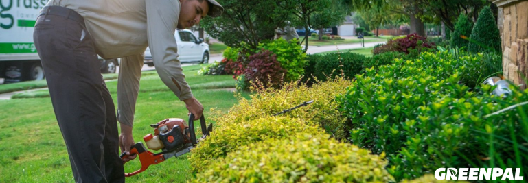 How Much Do You Normally Charge for Shrubs? (We Asked The Pros) 