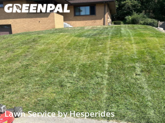 Lawn Mowing Service nearby North Versailles, PA, 