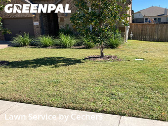 Grass Cut nearby Round Rock, TX, 