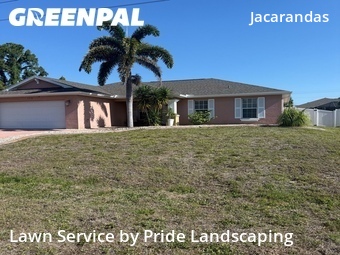 Grass Cut nearby Cape Coral, FL, 