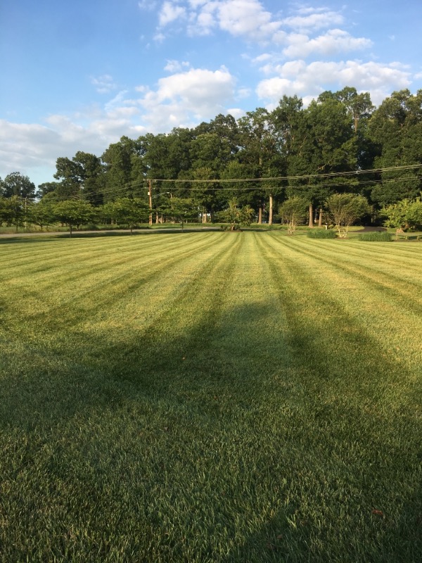 Yard mowing company in Germantown, MD, 20876