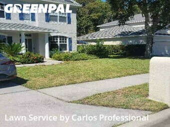 Grass Cut nearby Oldsmar, FL, 