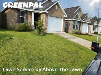 Grass Services in Bellview, 32526, Backyard Mowing by Above The Lawn, work completed in Nov , 2025
