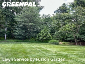 Lawn Care Service nearby Silver Spring, MD, 