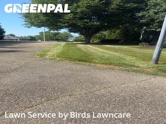 Lawn mowed in Harrisonburg, 22801