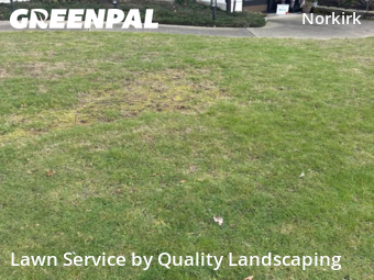 Lawn mowed in Kirkland, 98033
