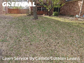 Lawn Mowing nearby Grand Prairie, TX, 