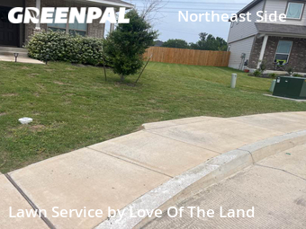 Lawn Cut nearby Converse, TX, 