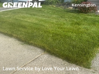 Lawn Care Service nearby Buffalo, NY, 