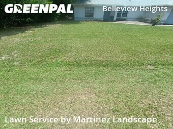 Yard Mowing nearby Summerfield, FL, 