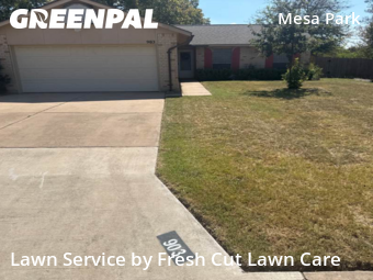 Yard Mowing nearby Round Rock, TX, 