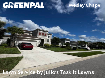 Lawn Mowing Service nearby Wesley Chapel, FL, 