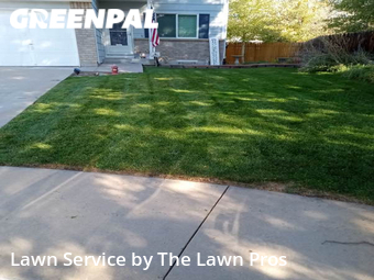 Lawn Mowing Service nearby Thornton, CO, 