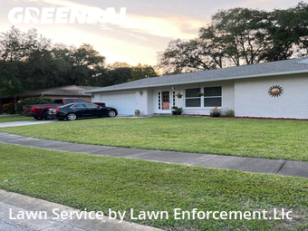 Lawn Mowing nearby Palm Harbor, FL, 