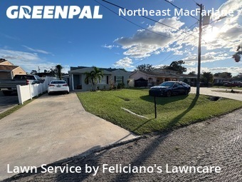 Lawn Cut nearby Tampa, FL, 