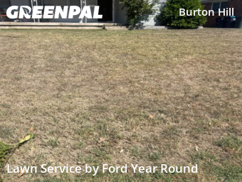 Lawn Cut nearby Fort Worth, TX, 