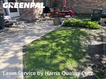 Lawn Cut nearby South Chicago Heights, IL, 